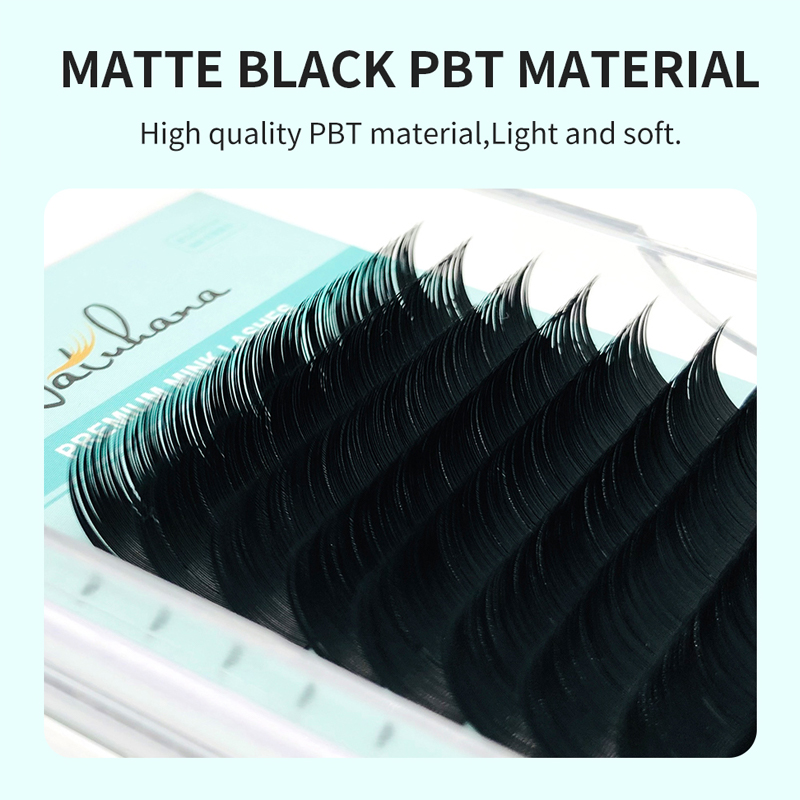 NATUHANA Korea PBT 16Rows B C  - Eyelash Extension Korea Natural 리뷰 및 가격