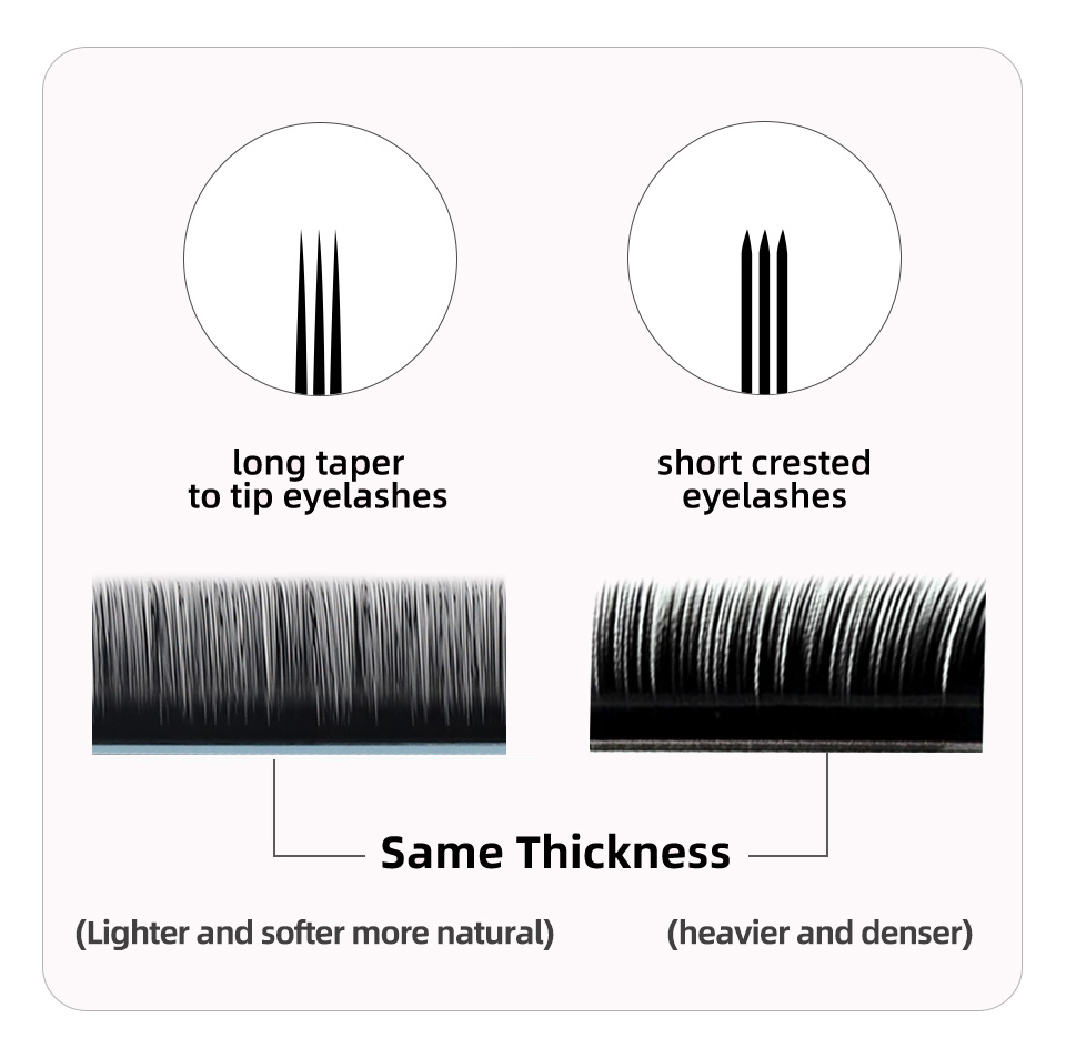 아구드 J B C D 컬 볼륨 속눈썹 연장 0.03mm - Eyelash Extension Korea Natural 리뷰 및 가격